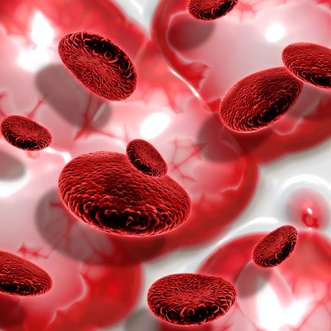 Tout savoir sur le don de sang et de plasma sanguin